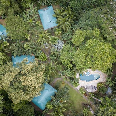 El Nido Jungle Lodge Puerto Viejo de Talamanca Exterior photo