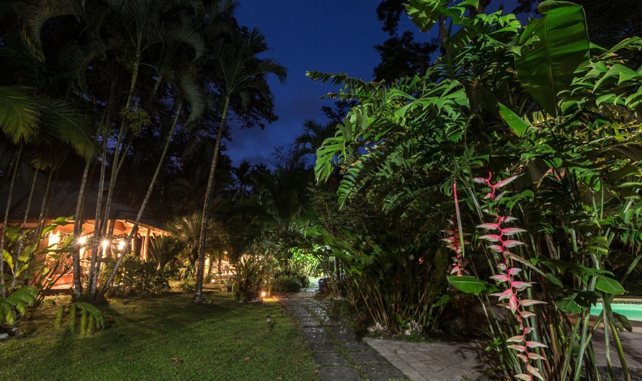 El Nido Jungle Lodge Puerto Viejo de Talamanca Exterior photo