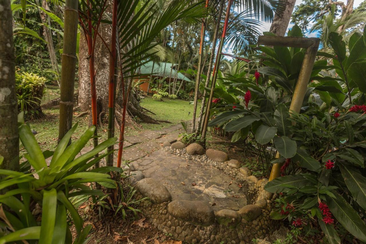 El Nido Jungle Lodge Puerto Viejo de Talamanca Exterior photo
