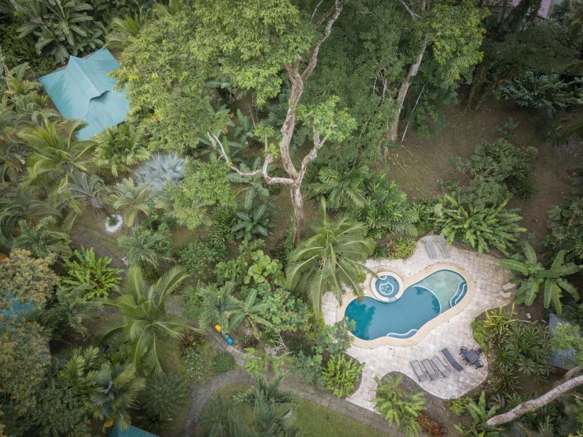 El Nido Jungle Lodge Puerto Viejo de Talamanca Exterior photo